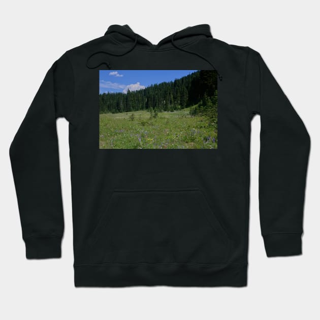 850_4641 Hoodie by wgcosby